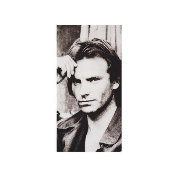 Вінілова платівка Sting - ...Nothing Like The Sun (Vinyl, LP, Album, Reissue, Stereo) - зображення 3