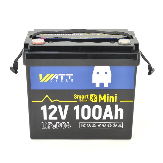 Аккумуляторная батарея WattCycle LiFePO4 WT12V100AH100MINIBT Bluetooth 12,8V 100Ah, 1,28kWh, BMS50A-4S, 6000 cycles, 229x138x208, 9.5kg - изображение 2