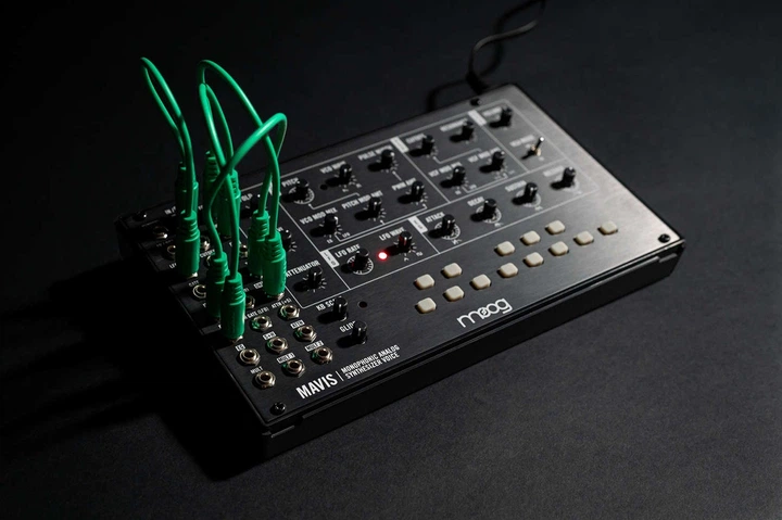 Синтезатор MOOG Mavis (240985) - изображение 4
