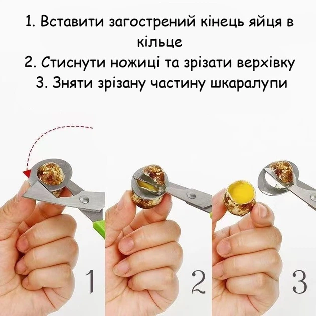 Ножницы-открыватель для перепелиных яиц со специальным лезвием 14,5×6 см. нержавеющая сталь пластик зеленый R9863 - Фото 5 Ножницы-открыватель для перепелиных яиц со специальным лезвием 14,5×6 см. нержавеющая сталь пластик зеленый R9863 - изображение 5