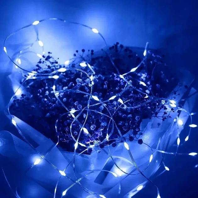 Гирлянда LED 500 ламп Digital на прозрачном проводе, синий свет - Фото 2 Гирлянда LED 500 ламп Digital на прозрачном проводе, синий свет - изображение 2
