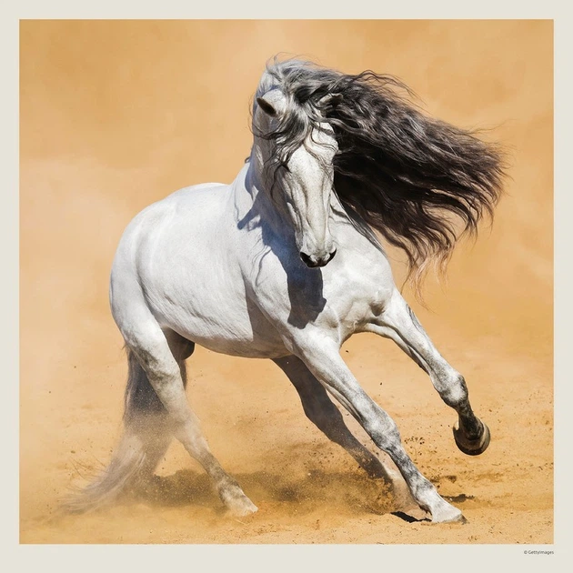 Календарь настенный Helma 2027 Horses, 30x30 см (LP03-27) - Фото 12 Календарь настенный Helma 2027 Horses, 30x30 см (LP03-27) - изображение 12
