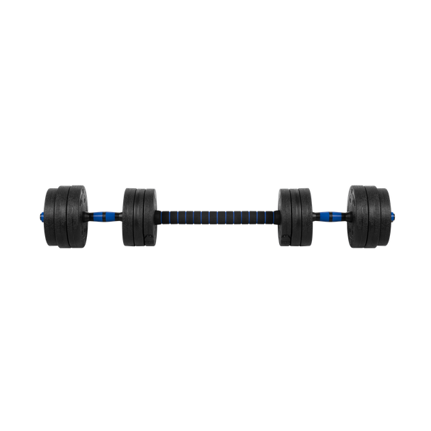 Бітумні гантелі Rebel ACTIVE RBA-2300 2×10 кг - зображення 5