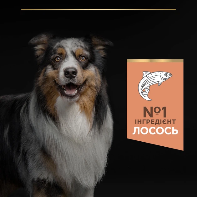 Сухий корм PRO PLAN Medium Adult 1+ Sensitive Skin для дорослих собак середніх порід, з чутливою шкірою, з лососем, 14 кг - Фото 5 Сухий корм PRO PLAN Medium Adult 1+ Sensitive Skin для дорослих собак середніх порід, з чутливою шкірою, з лососем, 14 кг - изображение 5