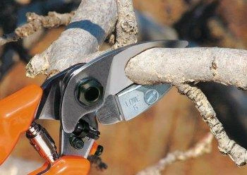Секатор Лоу 6.104 з наковаленкою чорний - Фото 3 Секатор Лоу 6.104 з наковаленкою чорний - изображение 3