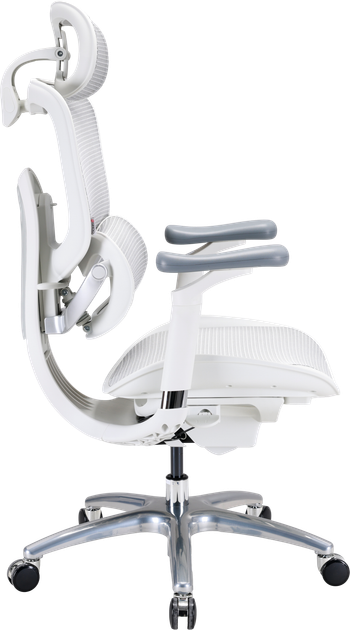 Fotel biurowy ergonomiczny Sihoo DORO C300 LITE V2 White (4820216980127) - Zdjęcie 3 Fotel biurowy ergonomiczny Sihoo DORO C300 LITE V2 White (4820216980127) - obraz 3
