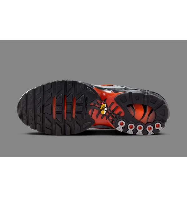 Кросівки чоловічі Nike Air Max Plus Wolf Grey 41 Сірий DM0032-011 - Фото 5 Кросівки чоловічі Nike Air Max Plus Wolf Grey 41 Сірий DM0032-011 - зображення 5