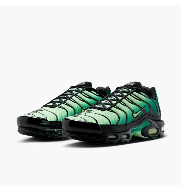 Кроссовки мужские Nike Air Max Plus Green 41 Зеленый DM0032-301 - Фото 5 Кроссовки мужские Nike Air Max Plus Green 41 Зеленый DM0032-301 - изображение 5