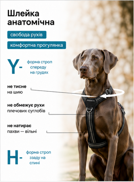Шлея для собак Duomm No-Pull з повідцем, регульована та світловідбивна чорний, XL (294XL-BLACK) - зображення 5