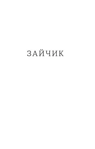 Книга Потяг. Людмила Колб - изображение 6