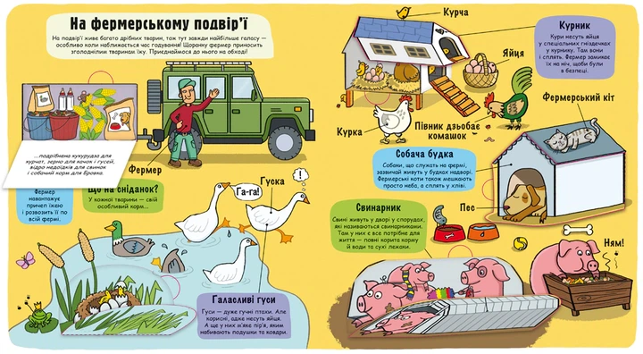 Книга Маленькі дослідники. Ферма. Тетяна Кузьменко - Фото 5 Книга Маленькі дослідники. Ферма. Тетяна Кузьменко - изображение 5