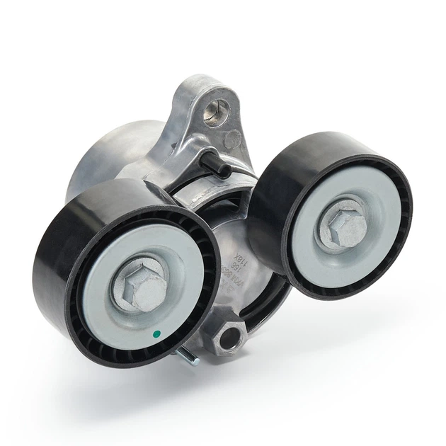 Комплект ремня SKF (VKMA38306) - изображение 2
