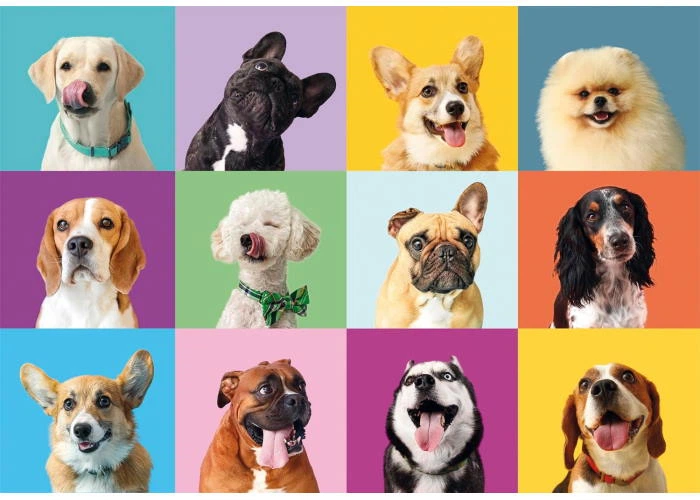 Пазл Clementoni Super: Щасливі Собачки (Super - Funny Faces Puzzle - 300 pcs.), колаж, 300 ел. (21739) - зображення 2
