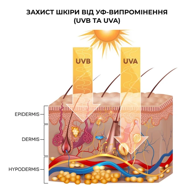Солнцезащитный крем для тела SPF 50 Hillary, 150 мл - изображение 3