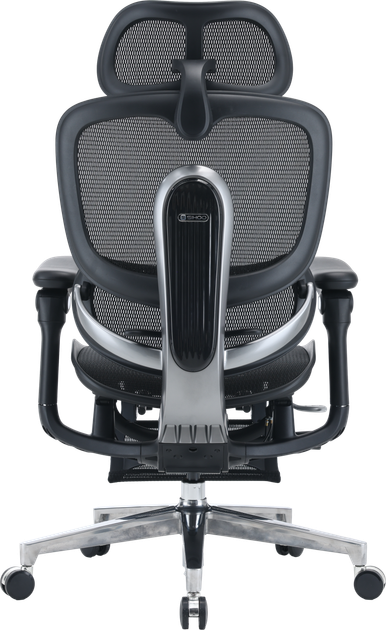 Fotel biurowy ergonomiczny Sihoo DORO C500 V2 Ultra z podnożkiem Czarny (4820216980189) - Zdjęcie 2 Fotel biurowy ergonomiczny Sihoo DORO C500 V2 Ultra z podnożkiem Czarny (4820216980189) - obraz 2