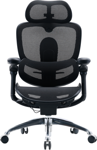 Fotel biurowy ergonomiczny Sihoo DORO C300 PRO V2 Czarny (4820216980141) - Zdjęcie 1 Fotel biurowy ergonomiczny Sihoo DORO C300 PRO V2 Czarny (4820216980141) - obraz 1