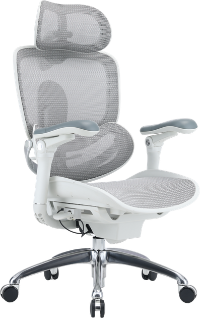 Fotel biurowy ergonomiczny Sihoo DORO C300 PRO V2 White (4820216980165) - Zdjęcie 3 Fotel biurowy ergonomiczny Sihoo DORO C300 PRO V2 White (4820216980165) - obraz 3