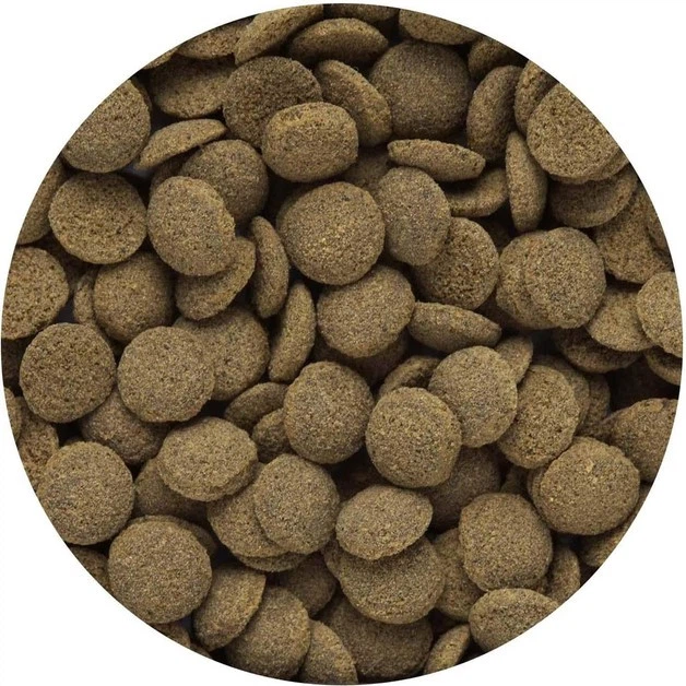 Корм для рыб HIKARI TROPICAL SINKING WAFERS (мягкие диски 5 мм) для сомов и боций - 50г - изображение 3