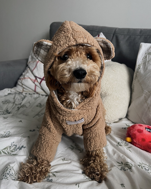 Худи для собаки капучино “Teddy” Feel with Fill, размер XL - Фото 1 Худи для собаки капучино “Teddy” Feel with Fill, размер XL - изображение 1