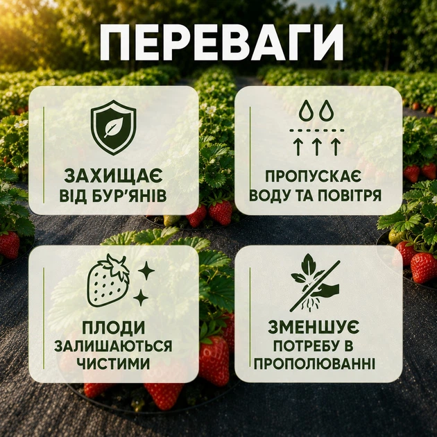 Агроволокно чорне Agreen 50г/м² (1,07х100) з перфорацією 2 отв 018843 - зображення 9