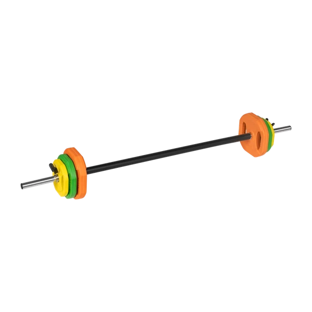 Штанга разборная с чугунным отягощением REBEL ACTIVE 20kg, гриф 140cm (RBA-2337) - Фото 1 Штанга разборная с чугунным отягощением REBEL ACTIVE 20kg, гриф 140cm (RBA-2337) - изображение 1