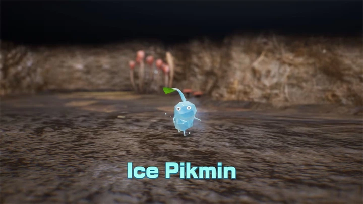 Gra Nintendo Switch 2 Pikmin 4 + Dandori Academy (Kartridż) (045496315344) - obraz 13