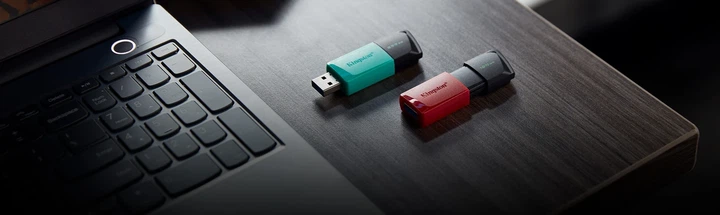 Накопитель Kingston 256GB USB 3.2 Type-A Gen1 DT Exodia M - изображение 2