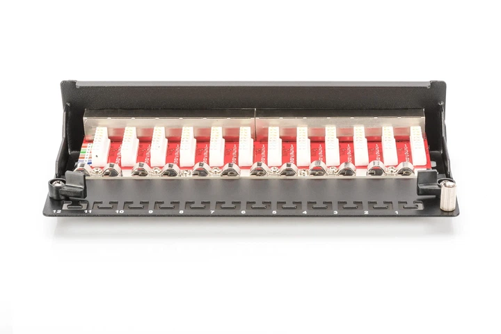 Патч-панель DIGITUS САТ 6A STP, настольная, 12 портов, собранная, черная. - Фото 4 Патч-панель DIGITUS САТ 6A STP, настольная, 12 портов, собранная, черная. - изображение 4