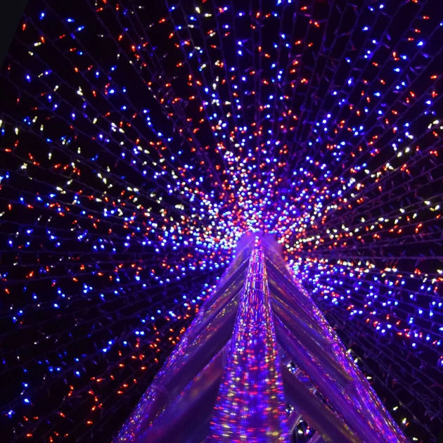 Гирлянда на батарейках Springos 5 м 50 LED 8 режимов CL4107 Mix - Фото 2 Гирлянда на батарейках Springos 5 м 50 LED 8 режимов CL4107 Mix - изображение 2
