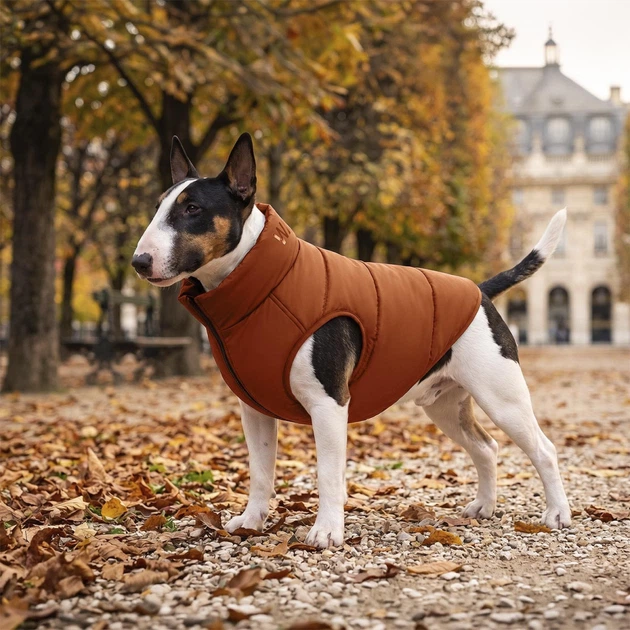 Курточка для собак средних пород WAUDOG Re-clothes М47 двухсторонняя терракотово-черная из переработанного материала (191430) - изображение 10