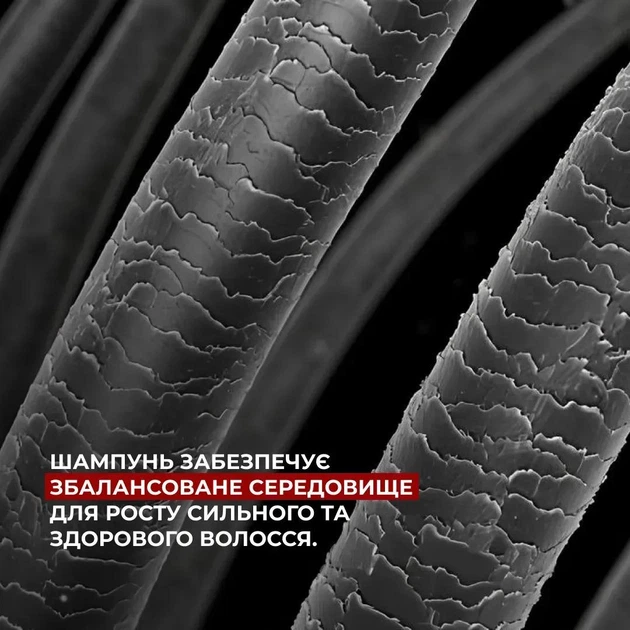 Комплекс для зменшення випадіння та глибокого очищення шкіри голови: Пілінг, Шампунь, Кондиціонер HiLLARY K-11-207 - Фото 8 Комплекс для зменшення випадіння та глибокого очищення шкіри голови: Пілінг, Шампунь, Кондиціонер HiLLARY K-11-207 - зображення 8