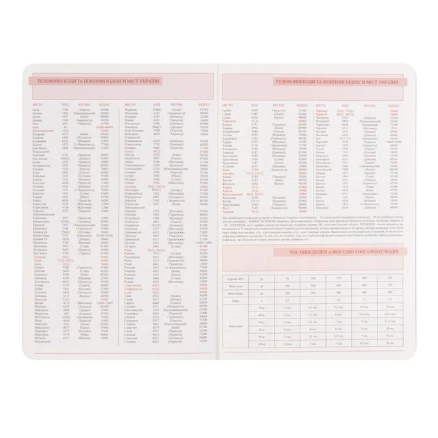 Ежедневник Leo Planner 2027 Glory, мягкий, коричневый (252718) - изображение 5