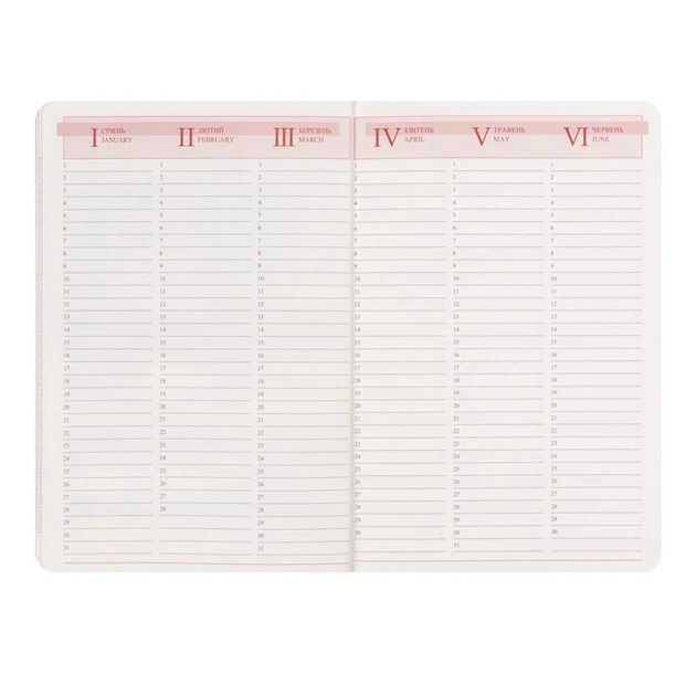 Ежедневник Leo Planner 2027 Glory, мягкий, темно-серый металлик (252720) - изображение 11
