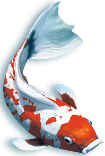 Gra planszowa Rebel Koi (wydanie polskie) (5906954791290) - obraz 7