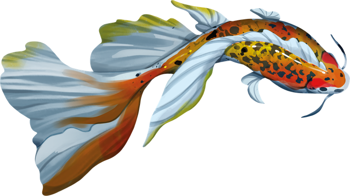 Gra planszowa Rebel Koi (wydanie polskie) (5906954791290) - obraz 11