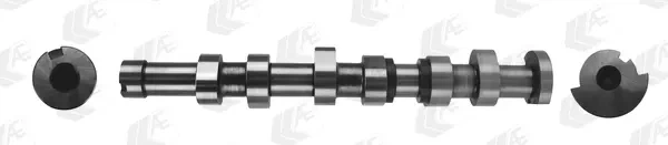 Розподільчий вал SEAT IBIZA III, SKODA FABIA I, FABIA I PRAKTIK, FABIA II, VW FOX, POLO IV 1.2/1.2LPG 07.01-12.14 CAM1004 AE AE CAM1004 Seat Ibiza; Skoda Fabia; Volkswagen Polo 03D109101P - зображення 2