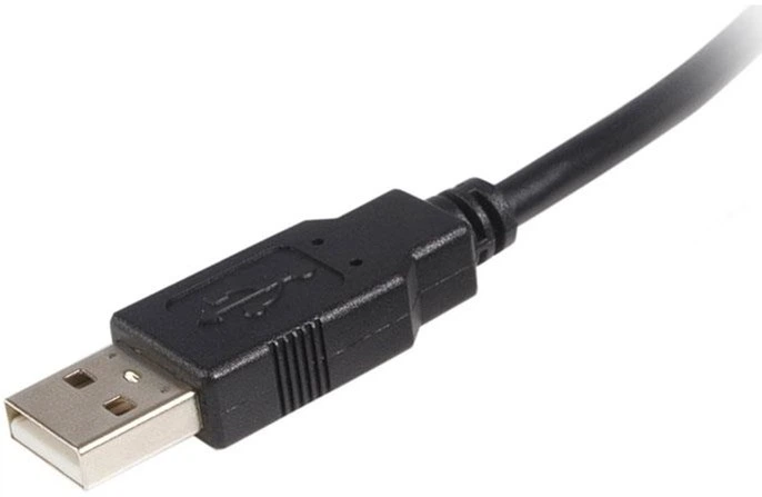 Kabel StarTech USB Type A - Type B M/M 3 m Black (USB2HAB3M) - Zdjęcie 2 Kabel StarTech USB Type A - Type B M/M 3 m Black (USB2HAB3M) - obraz 2