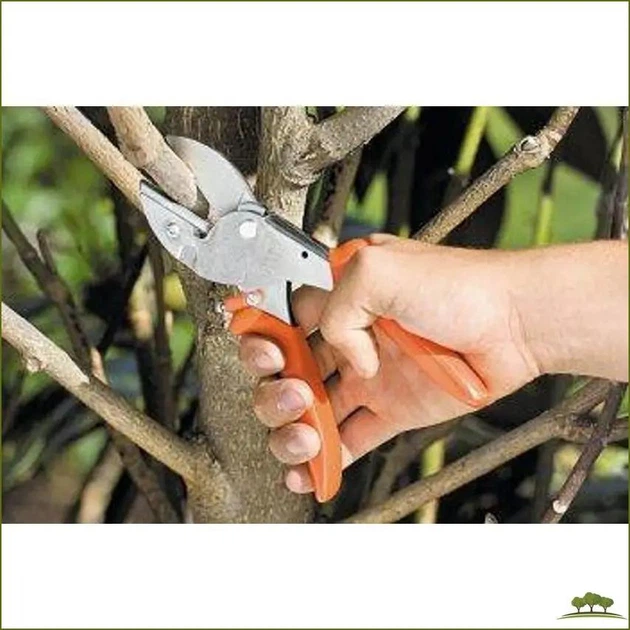Секатор LOWE Original 1.104 с наковальней для удобной обрезки растений - изображение 2