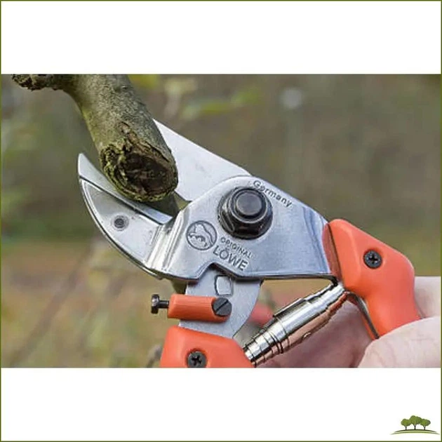 Секатор LÖWE Original 7.104 с наковальней для точной обрезки веток, побегов и сбора плодов - изображение 6