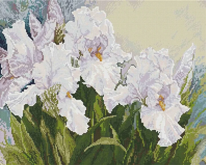Алмазная мозаика на подрамнике ColorArt Цветы Белые ирисы 40х50 SPP104 + Подарок лак для покрытия, полная выкладка, квадратные алмазики, набор для творчества и рукоделия - изображение 2