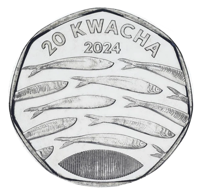 Монета Малави 20 квача 2024 UNC Фауна - Рыбы - Фото 1 Монета Малави 20 квача 2024 UNC Фауна - Рыбы - изображение 1