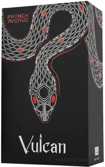 Perfumy męskie French Avenue Vulcan Black Friday 100 ml (6298042001558) - obraz 3