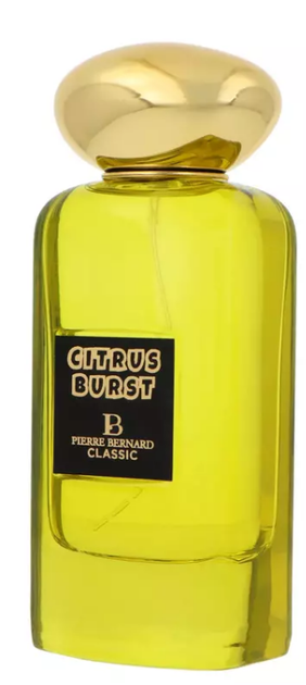 Woda perfumowana męska Pierre Bernard Classic Citrus Burst 100 ml (3021011023526) - obraz 2
