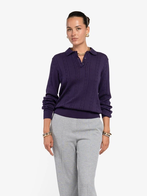 Поло жіноче Arber з довгим рукавом Polo Knit WFW1 WTR-245 XL фіолетовий (W10.35.49.633) - Фото 1 Поло жіноче Arber з довгим рукавом Polo Knit WFW1 WTR-245 XL фіолетовий (W10.35.49.633) - изображение 1