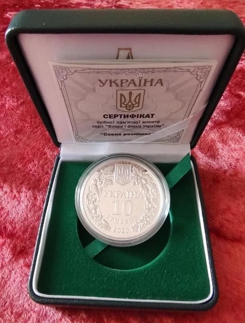 Серебряная монета НБУ "Совка раскошная" 2020 - изображение 5