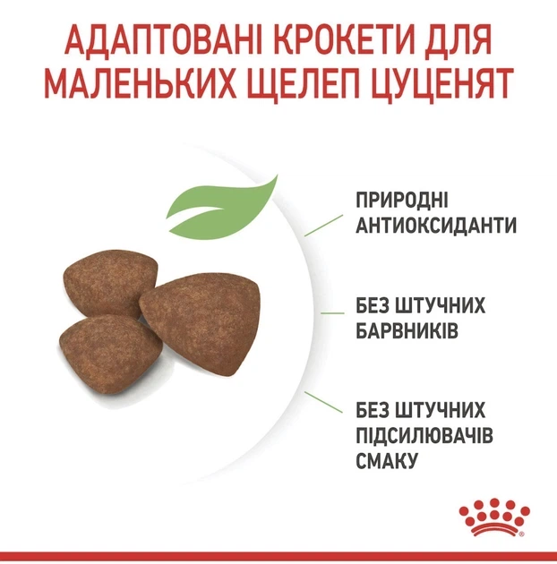 Сухий корм Royal Canin Mini Puppy для цуценят малих порід 8 кг - зображення 2