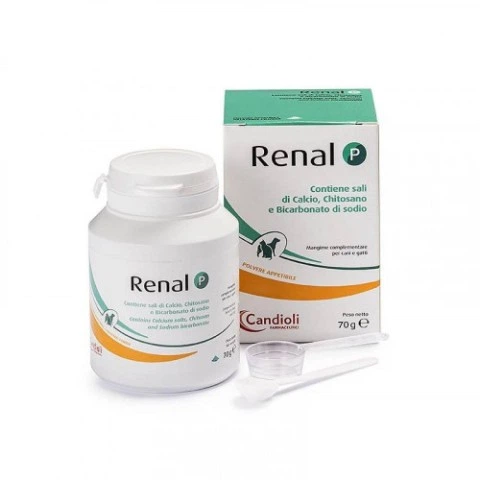Препарат при захворюваннях нирок Candioli Renal P – у порошку 70 г - Фото 1 Препарат при захворюваннях нирок Candioli Renal P – у порошку 70 г - зображення 1