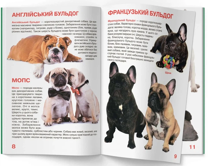 Книга Велика книжка. Собаки. Олег Зав'язкин - Фото 3 Книга Велика книжка. Собаки. Олег Зав'язкин - изображение 3