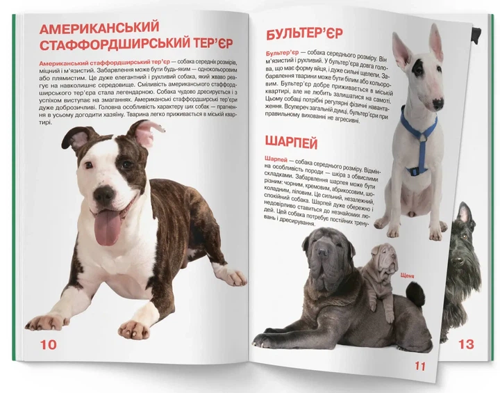 Книга Велика книжка. Собаки. Олег Зав'язкин - Фото 4 Книга Велика книжка. Собаки. Олег Зав'язкин - изображение 4