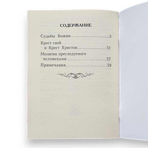 "Долі Божі" святитель Ігнатій (Брянчанінов) - зображення 4